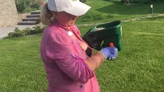 Подсыпка газона