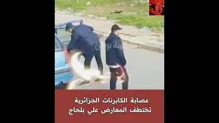 عاجل!لحضة خطف المعارض علي بلحاج من طرف عصابة عسكر  الجزائر  بطريقة وحشية امام أنضار حفيده #المغرب