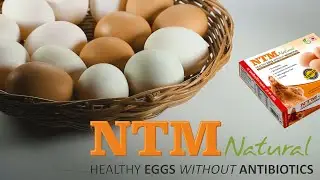 Watch Our Egg-cellent Explainer Video | Live action+Animation | Egg Animation | Explainer Video