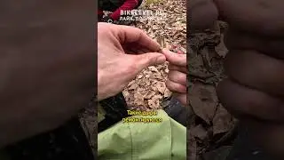 Ремонт бескамерной покрышки в полях! Сломал колеса! Порвал! #shorts