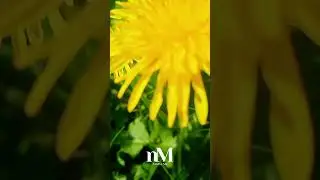 Ранкова молитва за Україну 