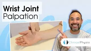 Wrist Joint Palpation | Clinical Physio