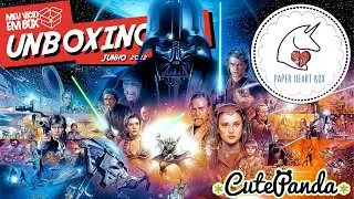 UMA CAIXA FANTÁSTICA - EDIÇÃO STAR WARS PAPER HEART BOX E CUTE PANDA