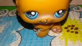 Самодельные  LPS