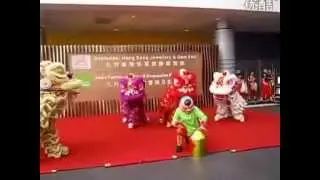 Hong Kong Lion Dance 香港舞狮