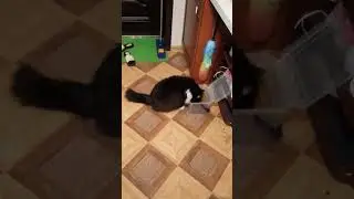 Доброе утро