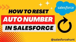 Salesforce Admin: How to Reset an Auto Number Field in Salesforce? | 
