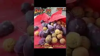 30 Day Texas Survival Challenge Day 29 Part 2 | Dessert on our Final Night