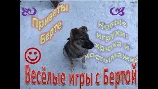 Весёлые игры с Бертой