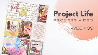 Project Life Process Video // Week 39, 2023 // Citrus Twist Kits