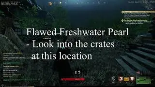 New World - Freshwater Pearls