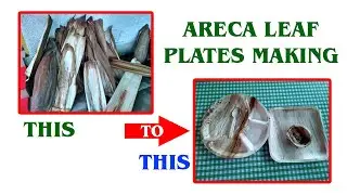 Areca Leaf Plates Manufacturing | Making Of Areca Leaf Plates | Automated Areca Plate Making Machine