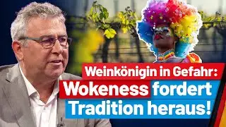 👑Kronen statt Anstecknadeln: Tradition der Weinkönigin🍇 bewahren! Bernd Schattner - AfD-Fraktions-TV