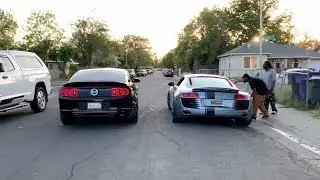 R8 OWNER PICKS ON MY MUSTANG SO I DID THIS!!