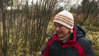 Поспешишь-людей насмешишь. Кроты потеряли страх.