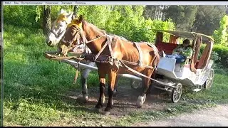 ПАААААРК АЛЕКСАНДРИЯ ОСОБЕННО В СЕРЕДИНЕ МАЯ 1405 2023ГОД