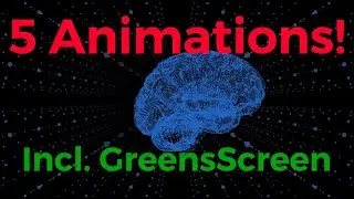 Green Screen | 5 Captivating Wireframe Brain Animations with PLEXUS BG