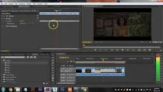 How To Make Flicker Effect In Premiere Pro