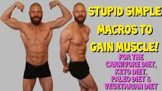 Quick Tips 65: STUPID SIMPLE MUSCLE BUILDING MACROS on the Carnivore, Keto, Paleo & Vegetarian Diets