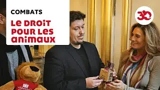 Statut juridique de l'animal : des juristes récompensés