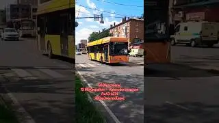 Ярославль | Электробусный маршрут 50 | Снял @Vladtrans33 | #ярославль #bus #транспорт #россия