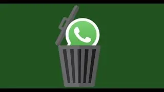 Deleting WhatsApp
