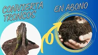 CONVIERTA TRONCOS en un POTENTE ABONO ORGÁNICO