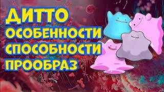ДИТТО. ОСОБЕННОСТИ, СПОСОБНОСТИ, ПРООБРАЗ