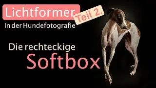 Lightformer in dog photography - the square softbox