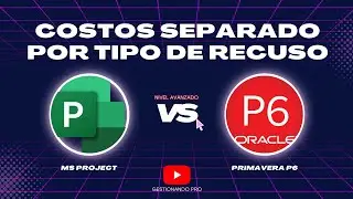 ¿Cómo tener el costo separado por el tipo de recurso? | 💻 MS PROJECT VS PRIMAVERAP6