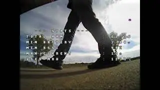 Tinyhawk, Trashcan, EMAX Freestyle сравнения