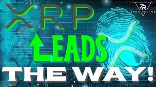 XRP Leads The Way!