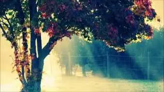 James Lowndes & Paul Lowndes - Only You (Alex H Remix)