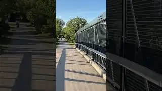 Many Things to See- the bridge