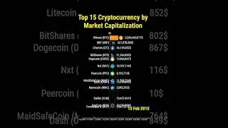 top 15 Cryptocurrency by market cap 2021 
