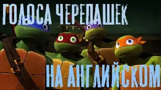 голоса черепашек ниндзя на английском • черепашки ниндзя • 1 часть