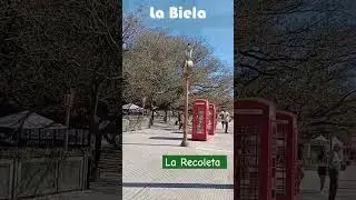 #Short, #LaBiela, #arte #bsas  #argentina, #recoleta