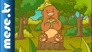 PASO Kids - A medve megfázott | MESE.TV
