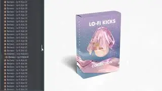 Lo-Fi Kicks | Kick Samples | Sample Pack