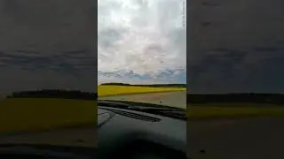 #поле