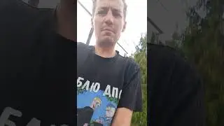 последствия ралли рейдов. котлета против канальи