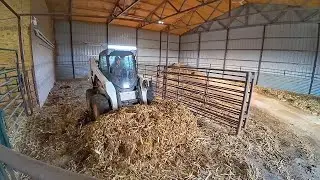 The Monday Calving Tradition