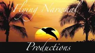 Random (A flying Narwhal Production)