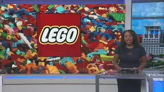 LEGO BRICK CONVENTION - KATHRYN BRUCH
