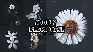 DARK MOODY PRESET | LIGHTROOM MOBILE | FLOWER MOODY PRESET | THE MOODY TONE