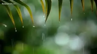 10 Hours of Relaxing Music, Sleep Music with Rain Sound, Piano Music for Stress Relief