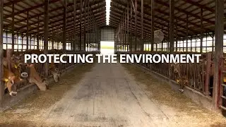 Protecting the Environment