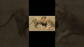 Любовь с 1 взгляда