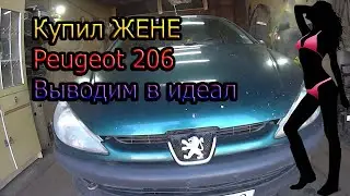 BOUGHT A PEUGEOT 206 FOR MY WIFE! Project to restore a PEUGEOT 206 to perfection.