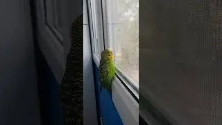 Под окном уже Лето 😍